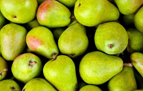 贅沢な甘みと香り♪｛西洋梨・ラフランス｝梨種類♪成分・効能～食べ方まで！