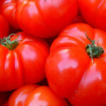 血液サラサラ・血糖値抑制作用！ミラクル野菜｛トマト｝美味しいトマトの選び方♪