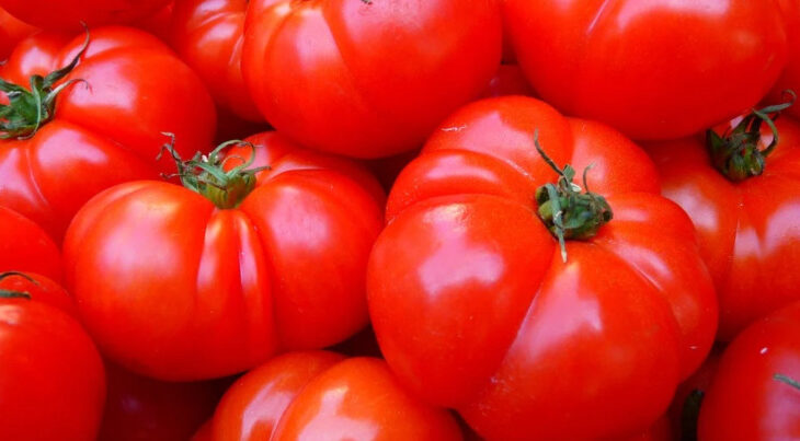 血液サラサラ・血糖値抑制作用！ミラクル野菜｛トマト｝美味しいトマトの選び方♪
