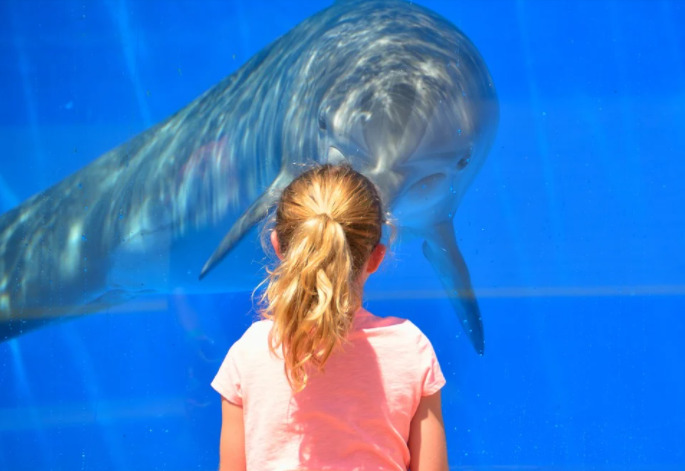 最強開運 風水動物 即効 幸せを呼ぶ動物 ラッキーモチーフ１１選 意味 方角 絵 金運まで 熱海グリーンガーデン ビューティ