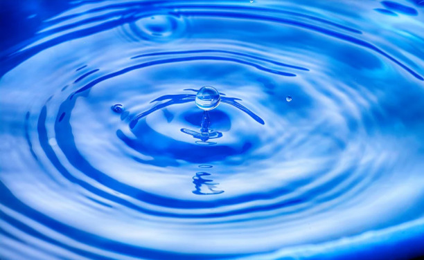 風水トイレ 色 方角 置いていいもの 置いていけないもの 観葉植物まで 熱海グリーンガーデン ビューティ